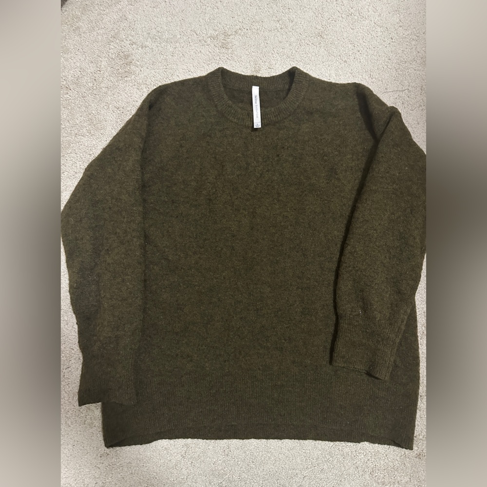Aritzia babaton sweater